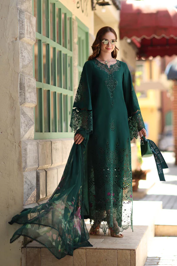 D6-B Noor Luxe Chickenkari by Saadia Asad