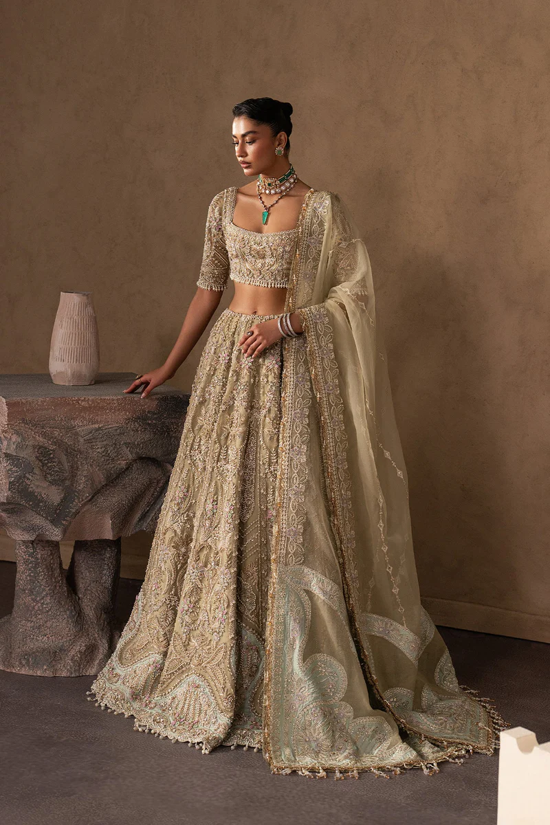 Afrozeh Brides Collection 2026 || Evline